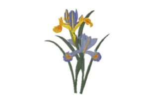Iris Beauty: A Vintage Bloom for Boutique Sweatshirts